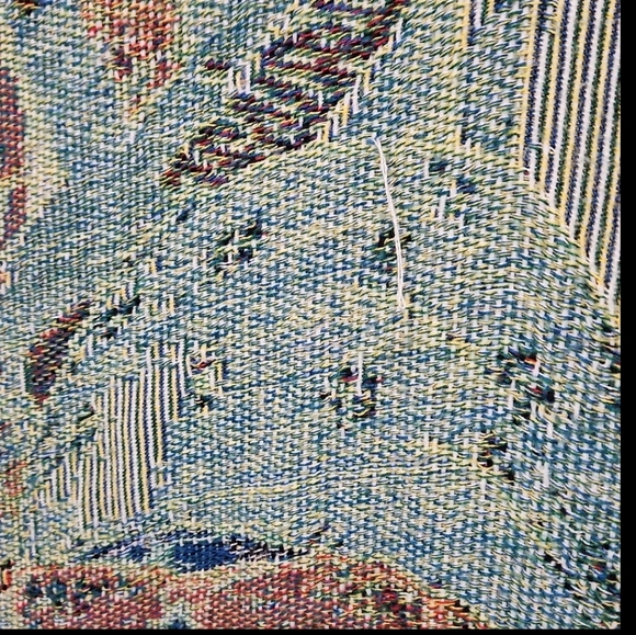 Dale Earnhardt Jr. NASCAR Tapestry Blanket - Picture 14 of 14